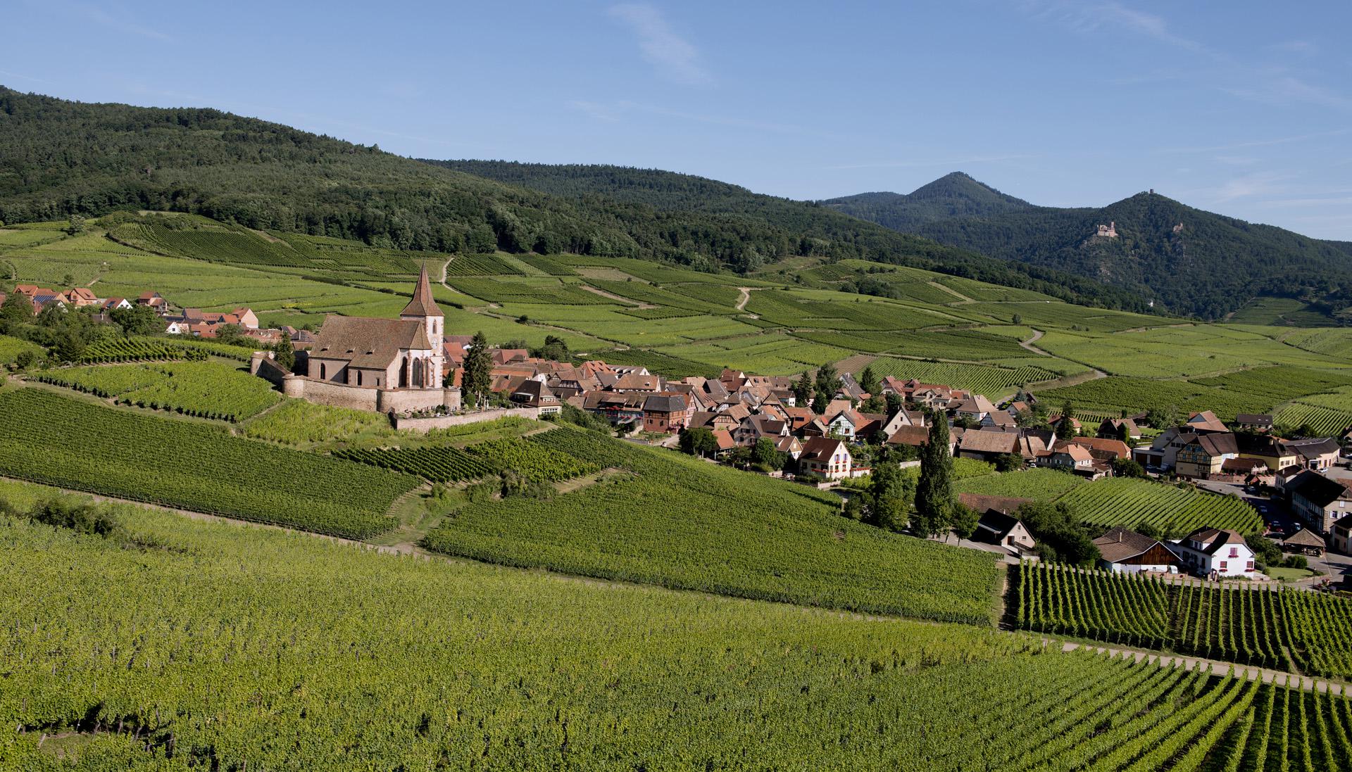 Notre Domaine Notre Domaine